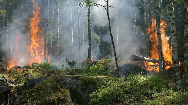 В центре Крыма объявлена высокая пожарная опасность