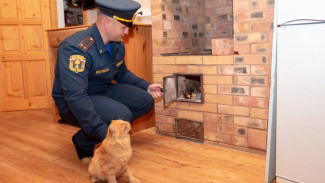 За 2025 год в Крыму на пожарах погибло 59 человек