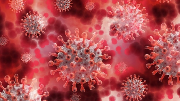 Ещё 109 случаев коронавируса выявлено в Крыму