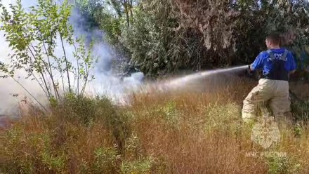 Три пожарно-спасательных автомобиля работают на тушении ландшафтного пожара в Евпатории