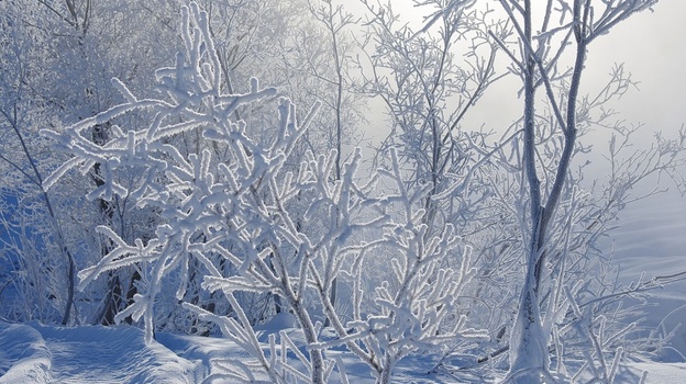 Мороз и снег: прогноз погоды в Крыму на 15 января