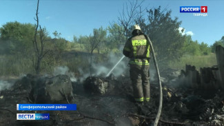 Пламенный режим