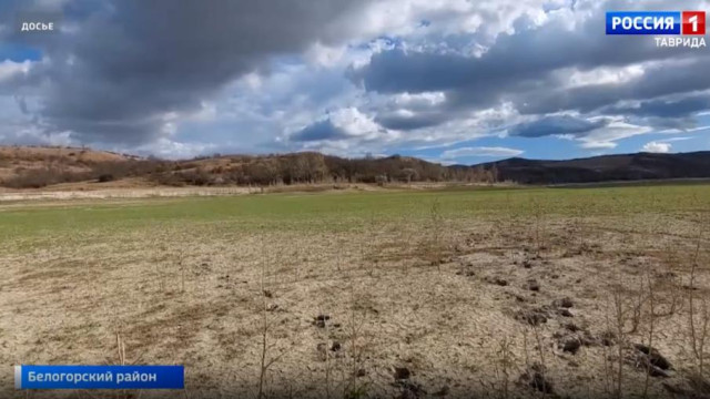 В Крыму соберут меньше овощей и ягод из-за аномальной жары 