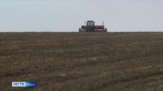 Площадь яровых посевов в Крыму выросла на 20%