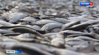  31 октября отмечается День Чёрного моря