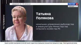 У берегов Ялты введут запрет на рыбалку