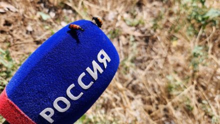 3 и 4 ноября программы ГТРК «Таврида» выйдут по праздничному графику