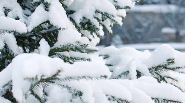Гололёд и сильный снег: погода в Крыму на 31 января 
