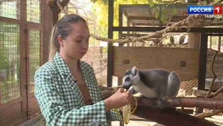В бахчисарайском зоопарке оборудуют для животных более просторные "квартиры" 