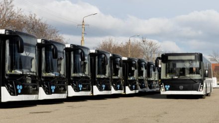 Крым получит 30 новых автобусов с повышенной вместимостью до конца года
