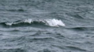 Водолазы обследовали затонувшую часть танкера в Чёрном море