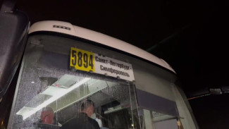 Рейс из Санкт-Петербурга в Симферополь: 30 апреля в столицу Крыма прибыл первый автобус