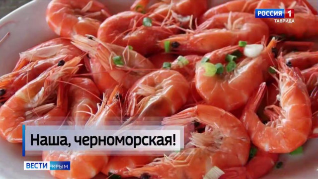 В Азовском море значительно выросла популяция креветки
