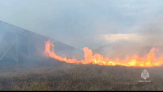 В Кировском районе горела сухая трава