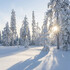 Гололёд и сильный снегопад: погода в Крыму на 23 января 