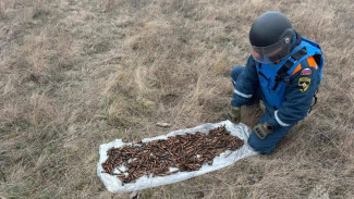 В Крыму уничтожили более 570 стрелковых боеприпасов времён Великой Отечественной войны