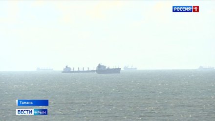Владелец и собственник затонувшего танкера «Волгонефть-212» обязаны выплатить 49,5 млрд рублей за ущерб акватории Черного моря