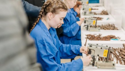 В КФУ могут выращивать до миллиона саженцев винограда в год