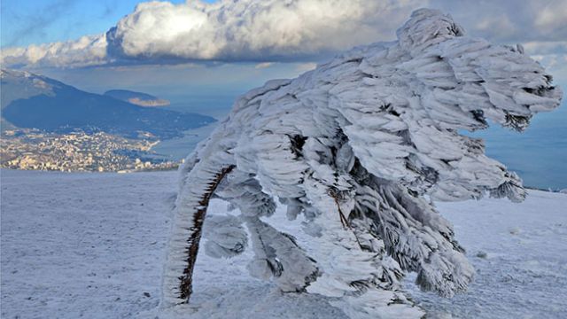 Крыму угрожает малый ледниковый период