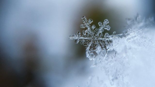 Более 30 сантиметров снега выпало в Крыму за ночь