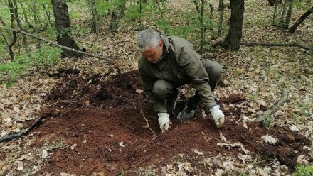 Севастопольские поисковики нашли останки советского солдата