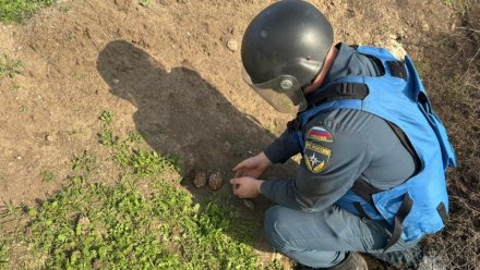 В Керчи обезвредили боеприпасы времён Великой Отечественной войны