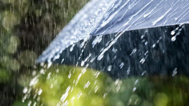 Сегодня в Крыму обещают дождь весь день