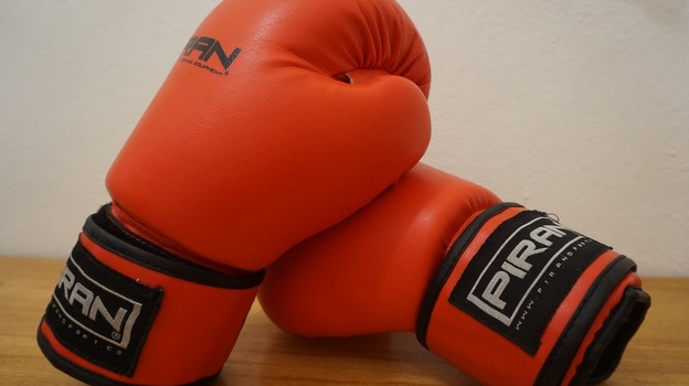 Лоза призвал Усика открыть академию бокса в российском Крыму