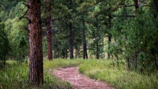 На горе Аю-Даг спасли туриста 