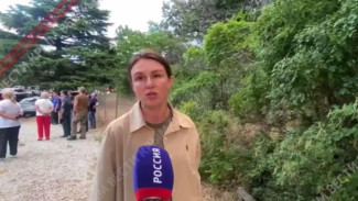 Ущерб от пожара под Алуштой будут рассчитывать по результатам его ликвидации 