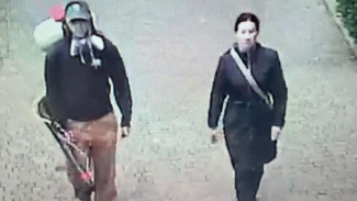 В Алуште вандалы пытались испортить растения на городской клумбе