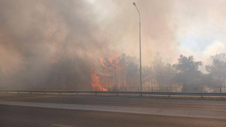 Ландшафтному пожару в Севастополе присвоен 4-й максимальный ранг