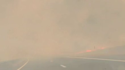 Горит сухая трава вдоль трасы Евпатория - Симферополь