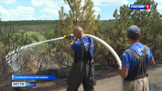  Поле в огне: как огнеборцы усмиряли пожар в селе Клиновка Симферопольского района