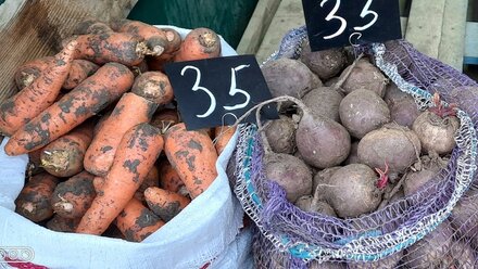 Чиновники проверили, сколько стоят овощи на рынках Симферополя