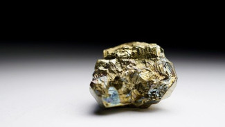 Украина должна Амстердаму 120 000 евро за хранение скифского золота