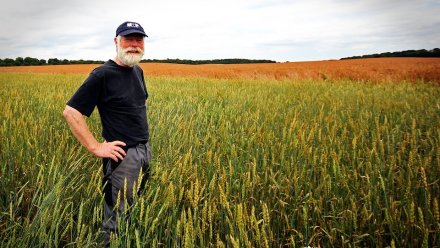 В Крыму собрали рекордный урожай зерновых