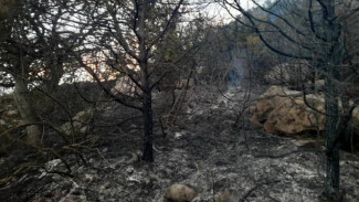 В Алуште передали в суд уголовное дело о пожаре, уничтожившем лесные насаждения в районе горы Кастель