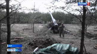 Опорный пункт украинских боевиков захватили в ЛНР