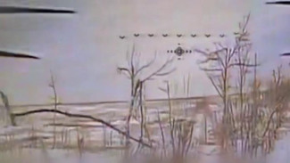 Российские дроноводы уничтожили технику и личный состав ВСУ в опорных пунктах в Запорожской области