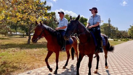 На патрулирование Севастополя впервые вышла конная полиция