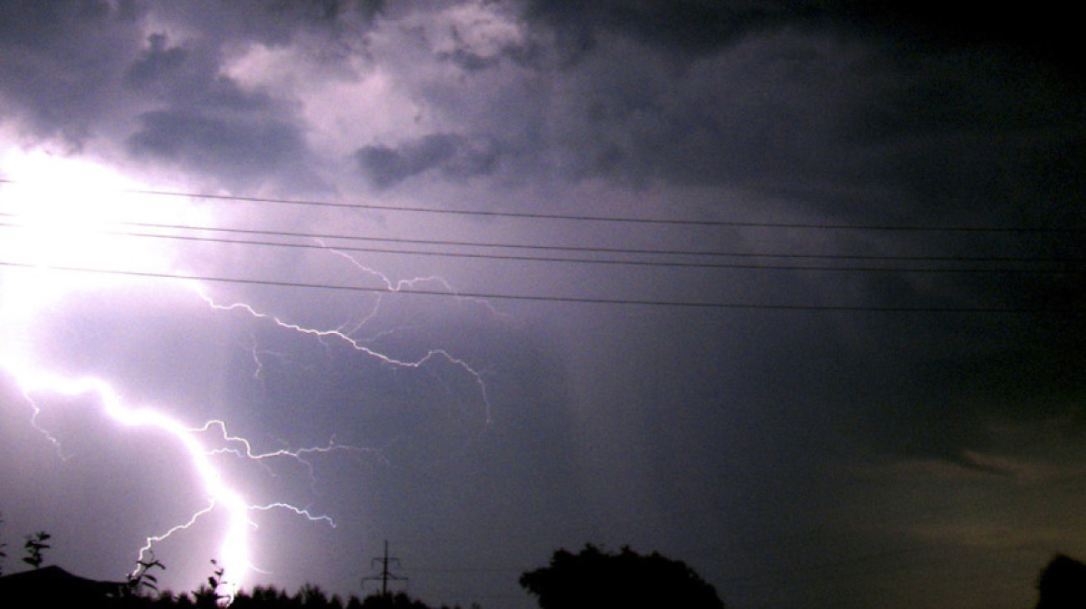 несколько раз июльские грозы обрушивали на тополь