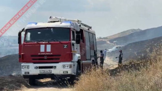 Пожар на горе Митридат в Керчи локализовали