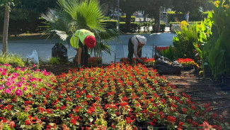 В Ялте обновляют клумбы в преддверии Дня города