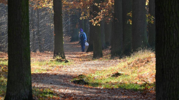 Жительницу Ялты задержали при попытке сбыта мефедрона через «закладки» в лесу