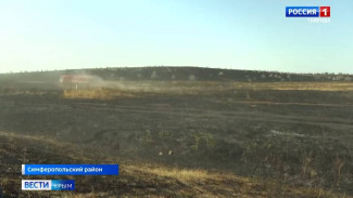 Сразу несколько пожаров произошли на полуострове за эти сутки