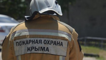 Спасатели защитили дом от огня в Красногвардейском районе