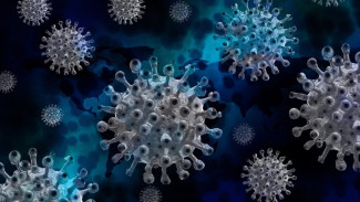 +388: новые случаи коронавируса выявили в Крыму за сутки