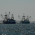 Крымские заводы могут восстановить собственный рыболовецкий флот