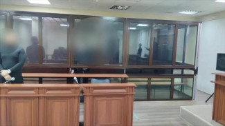 В Крыму осудили жительницу Мелитополя на 12,5 лет за госизмену